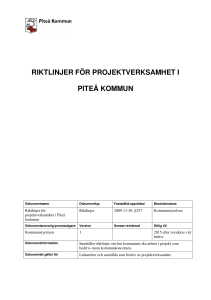 Riktlinjer för projektverksamhet i Piteå kommun