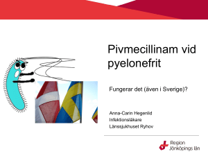 Pivmecillinam vid pyelonefrit. Fungerar det (även i Sverige)?
