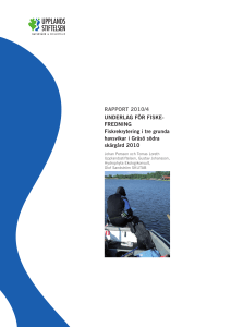 2010_4 Fiskrekrytering i tre grunda havsvikar i Gräsö södra