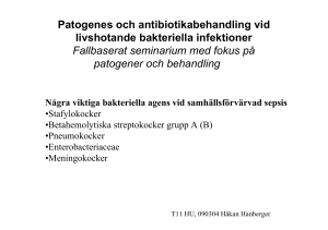 Patogenes och antibiotikabehandling vid livshotande bakteriella