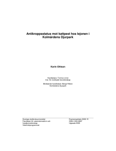 Antikroppsstatus mot kattpest hos lejonen i Kolmårdens