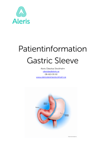 Patientinformation Gastric Sleeve