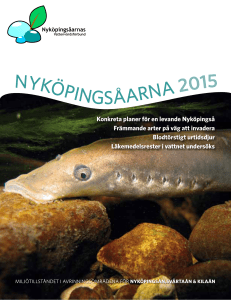 piNgsåarNa 2015 - Vattenorganisationer