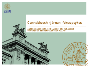 Cannabis och hjärnan: fokus psykos