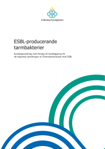 ESBL-prducerande tarmbakterier