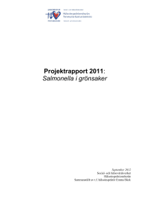 rapport frn jakobs dagar 2010 - Social