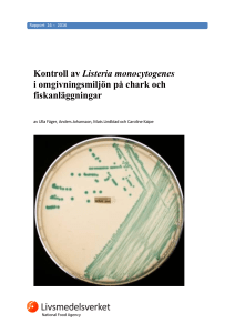Kontroll av Listeria monocytogenes i