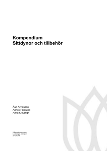 Kompendium sittdynor - Landstinget Sörmland