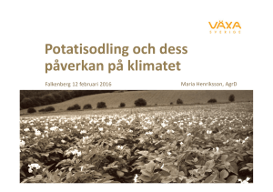 Potatisodling och dess påverkan på klimatet