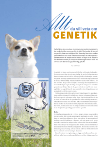 Genetik - Svenska Kennelklubben