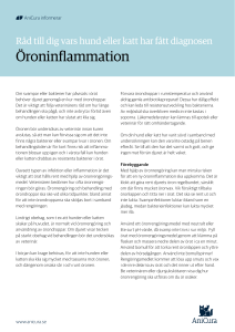 Öroninflammation