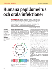 Humana papillomvirus och orala infektioner