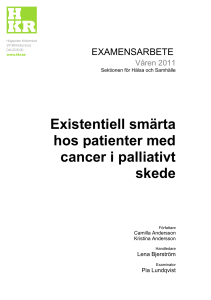 Existentiell smärta hos patienter med cancer i palliativt