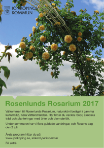 Rosenlunds Rosarium 2017