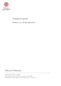 Toxoplasma gondii Marcus Andersson