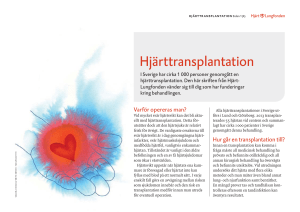 Hjärttransplantation - Hjärt