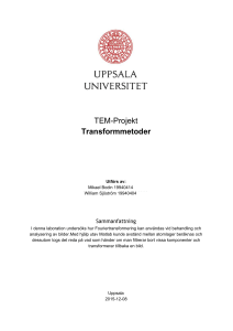 TEMProjekt Transformmetoder