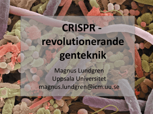 CRISPR - revolutionerande genteknik