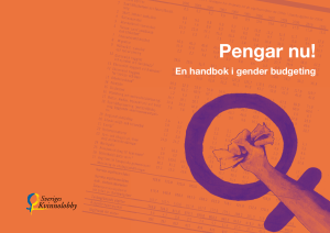 Pengar Nu! En handbok om gender budgeting