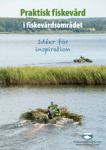 Praktisk fiskevård - Jakt och Fiske i Södra Lappland