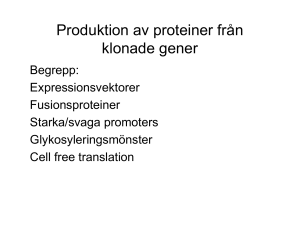 Produktion av proteiner från klonade gener
