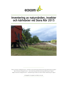 Inventering av naturvärden, insekter och kärlväxter vid Stora Rör 2015