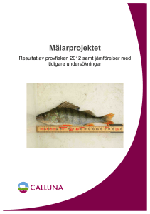 Rapport Provfiske_20130108
