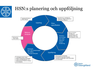 HSN:s planering och uppföljning
