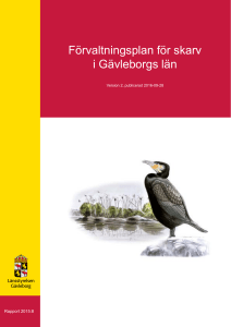Förvaltningsplan för skarv i Gävleborgs län