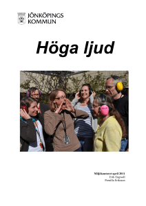 Rapport: Höga ljud 2011