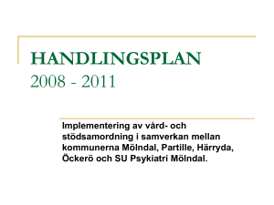 HANDLINGSPLAN 2008