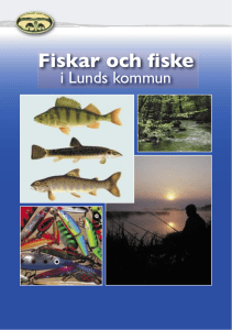 Fiskar och fiske i Lunds kommun, fiskefolder