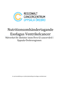 Nutritionsomhändertagande Esofagus Ventrikelcancer