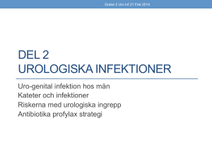 Urologiska infektioner: profylax och behandling, Magnus