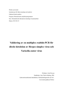 Validering av en multiplex realtids-PCR för direkt detektion av