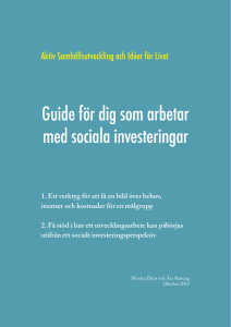 Guide för dig som arbetar med sociala investeringar