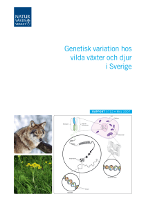 Genetisk variation hos vilda växter och djur i