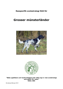 Grosser münsterländer - Svenska vorstehklubben