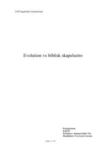 Skiss projektarbete: biblisk skapelse/ evolution
