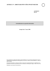 WP 91 - Arbetsdokument om genetisk information
