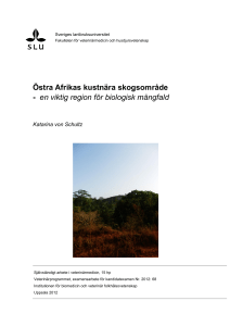 Östra Afrikas kustnära skogsområde - en viktig region för