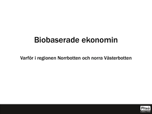 Biobaserade ekonomin - Skogsriket Västerbotten