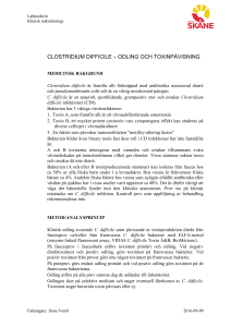 clostridium difficile – odling och toxinpåvisning