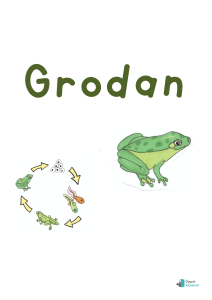 Grodan - oppetklassrum.se