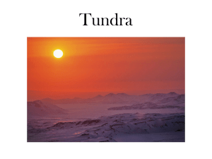 Tundra - Klassbloggarna