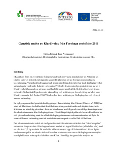 Genetisk analys av Klarälvslax från Forshaga avelsfiske 2011