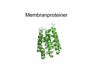 Membranproteiner