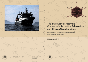 The Discovery of Antiviral Compounds Targeting