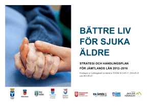 Strategi och handlingsplan Bättre liv för sjuka äldre