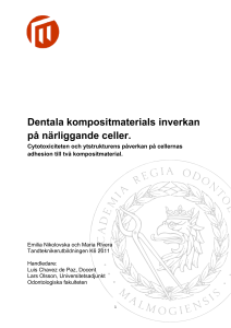 Dentala kompositmaterials inverkan på närliggande celler.